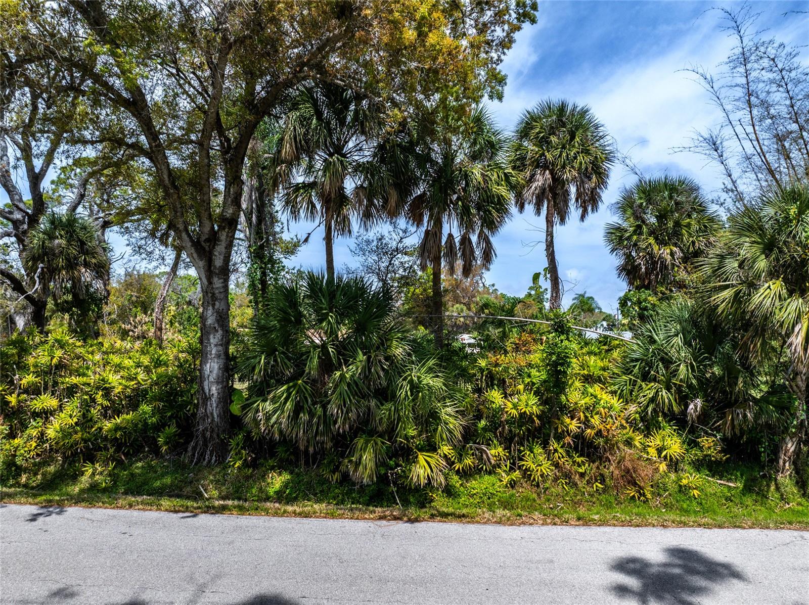 PINEAPPLE ST, ENGLEWOOD, FL — photo 14