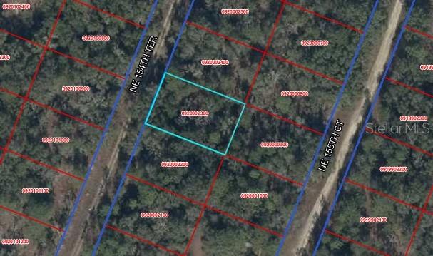TBD NE 154TH TER, WILLISTON, FL