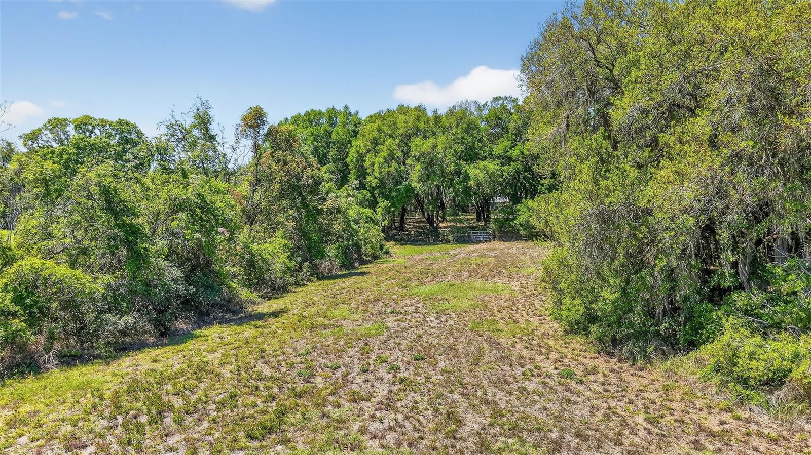 32510 WHITNEY RD, LEESBURG, FL — photo 19