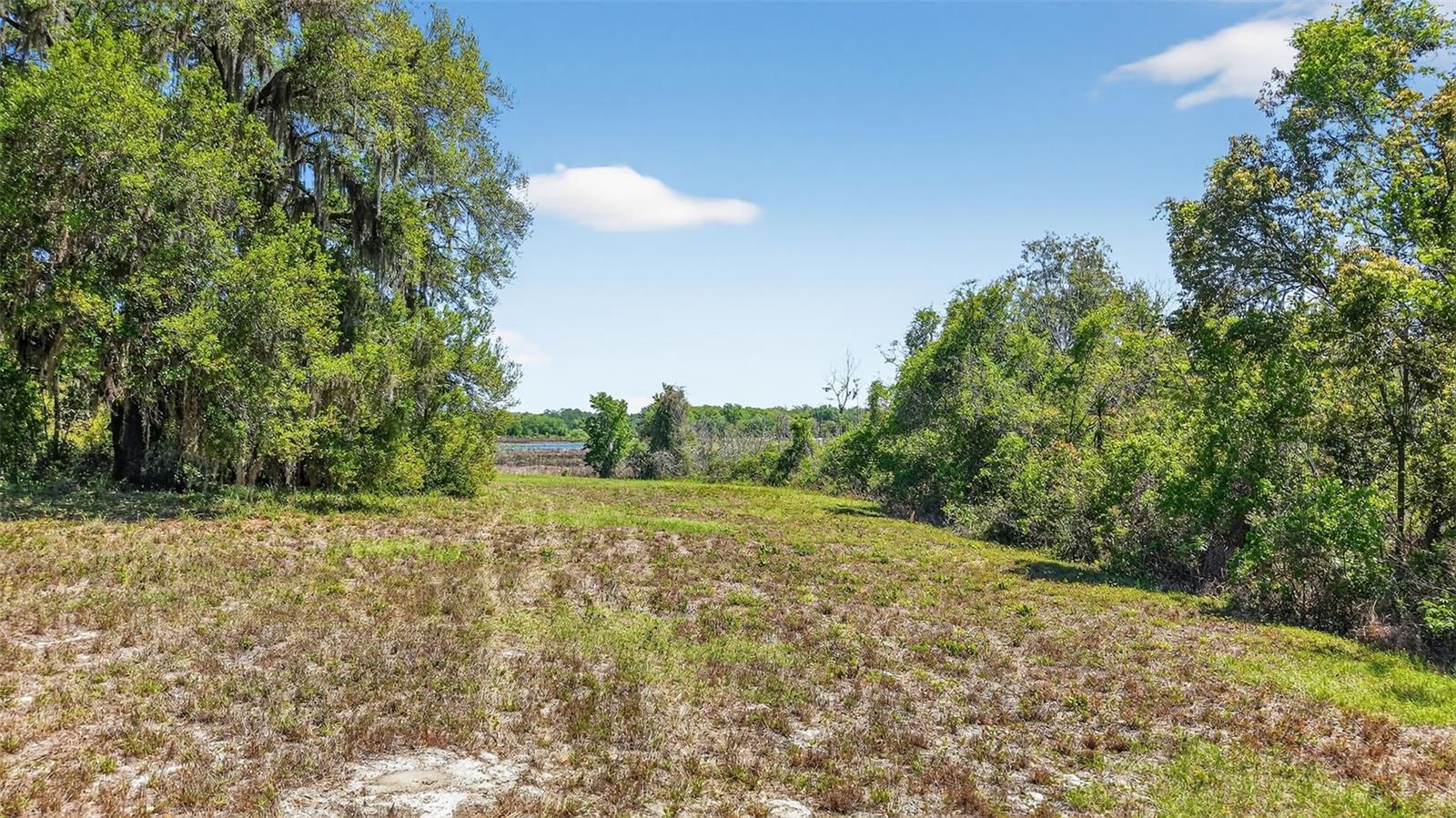 32510 WHITNEY RD, LEESBURG, FL — photo 22
