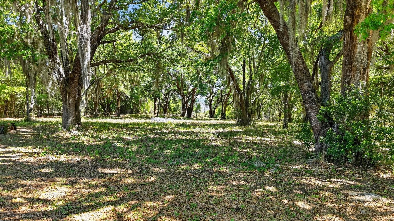 32510 WHITNEY RD, LEESBURG, FL — photo 24