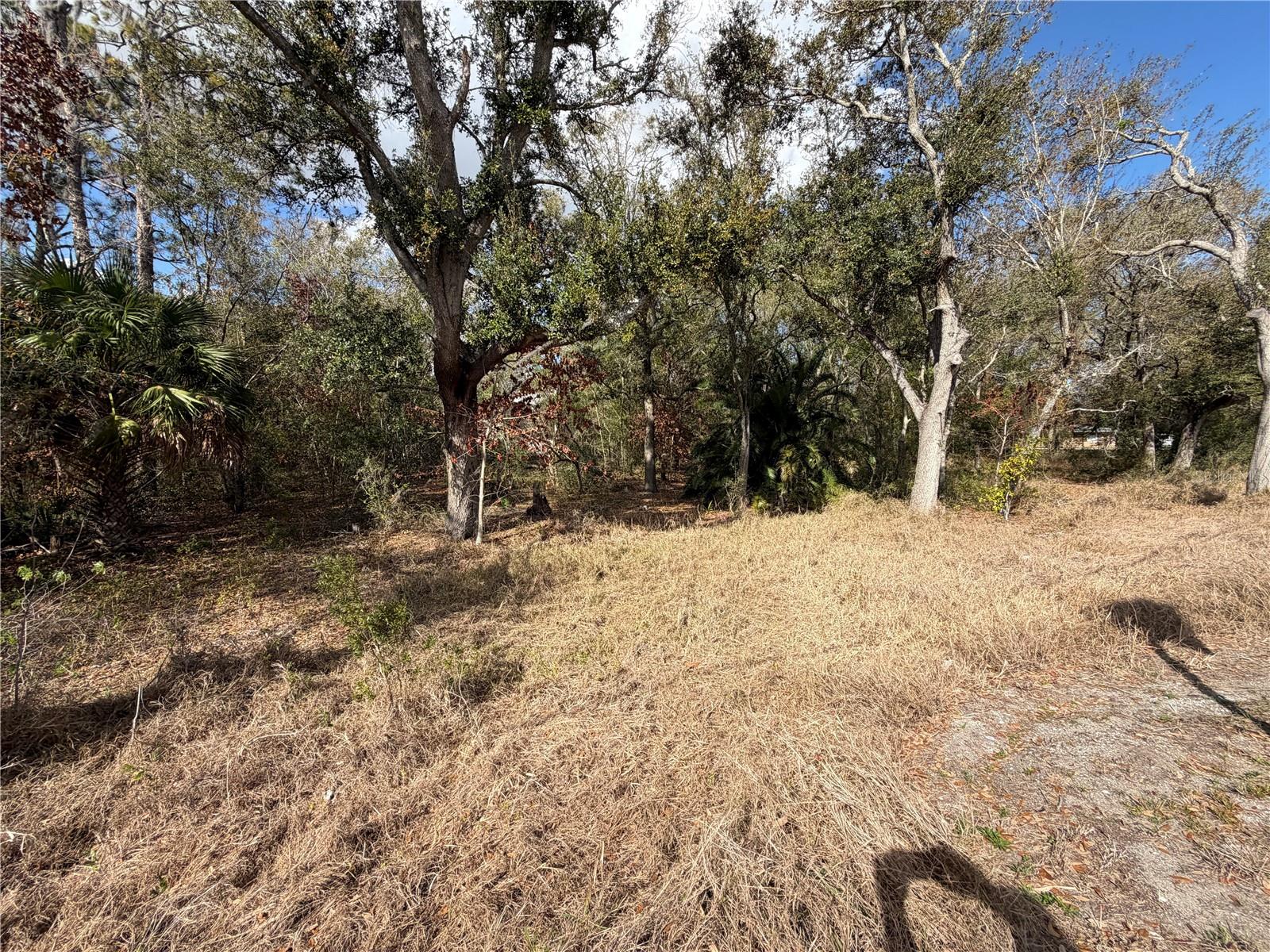 3500 SEBRING PKWY, SEBRING, FL — photo 7