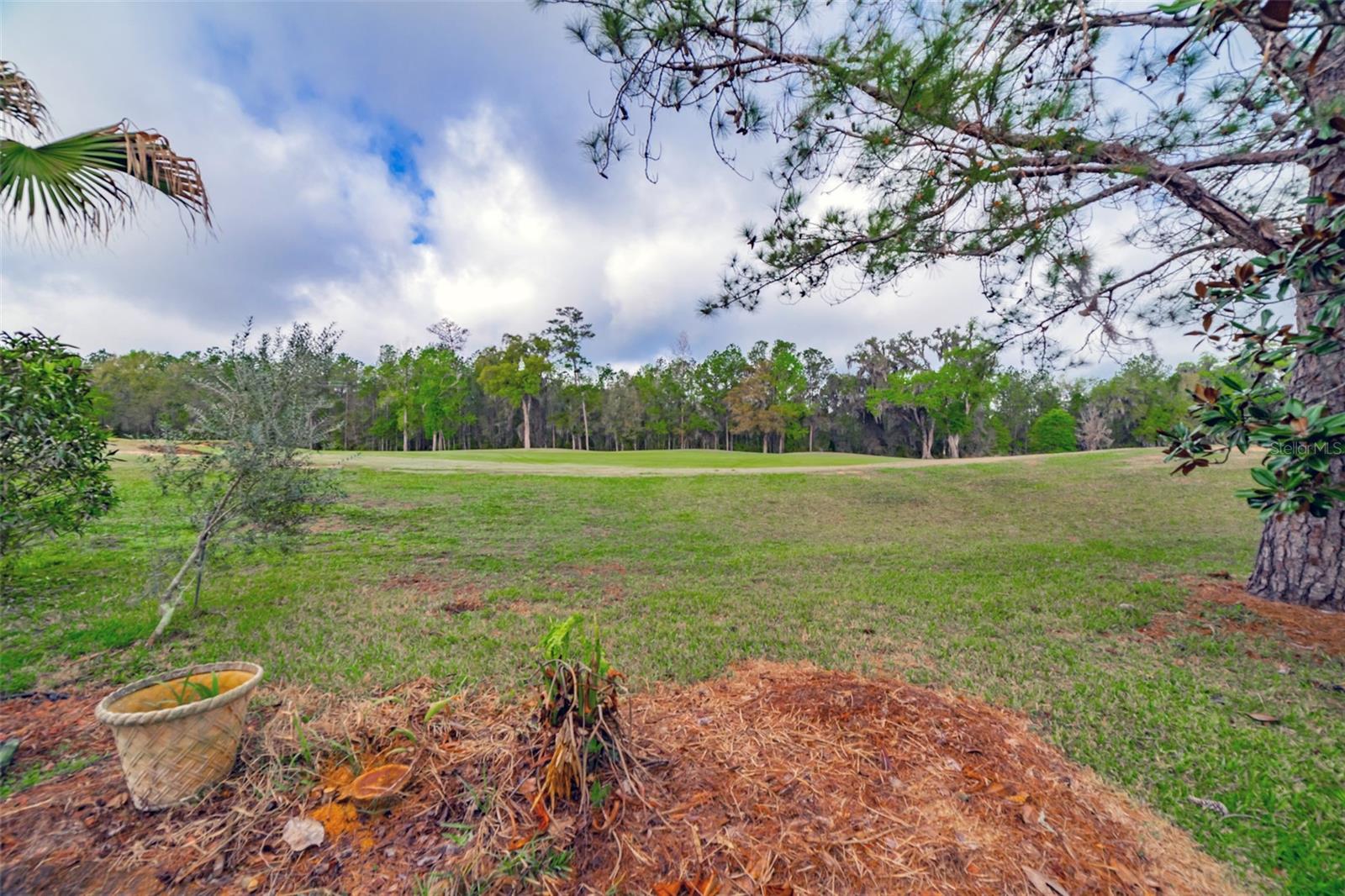 4347 GEVALIA DR, BROOKSVILLE, FL — photo 8