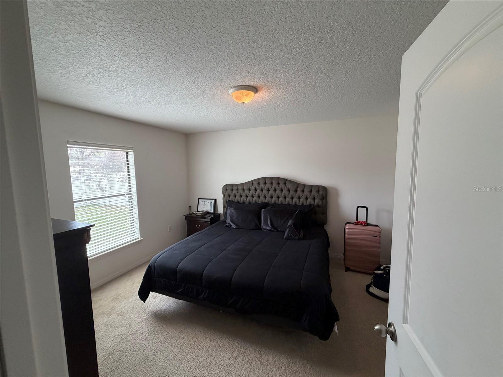 487 OCHO RIOS AVE, TAVARES, FL — photo 10