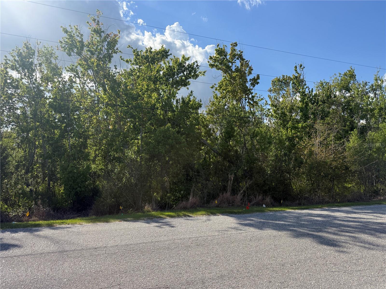 GADSON ST, GROVELAND, FL — photo 5