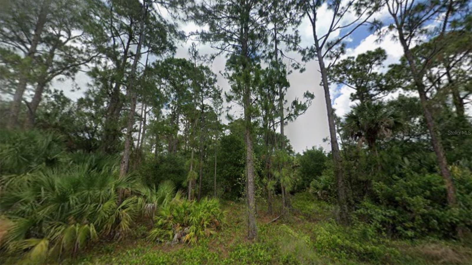 20TH AVE SE, NAPLES, FL — photo 21