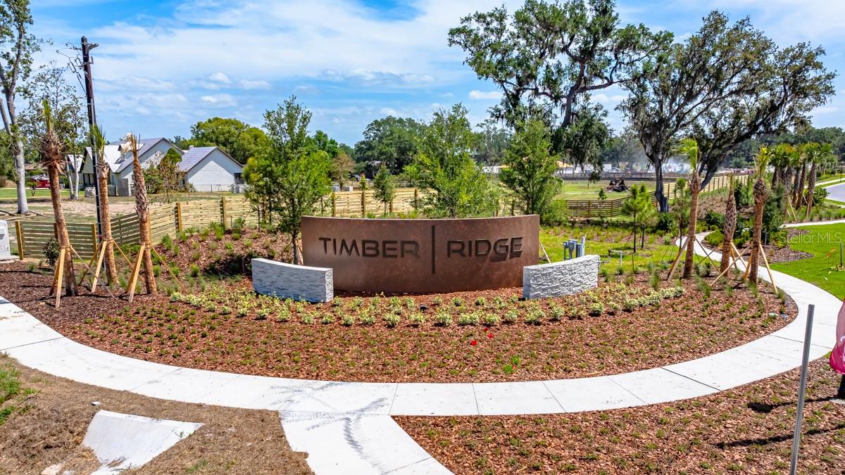 3021 PARAPET TERRACE PL, PLANT CITY, FL — photo 38