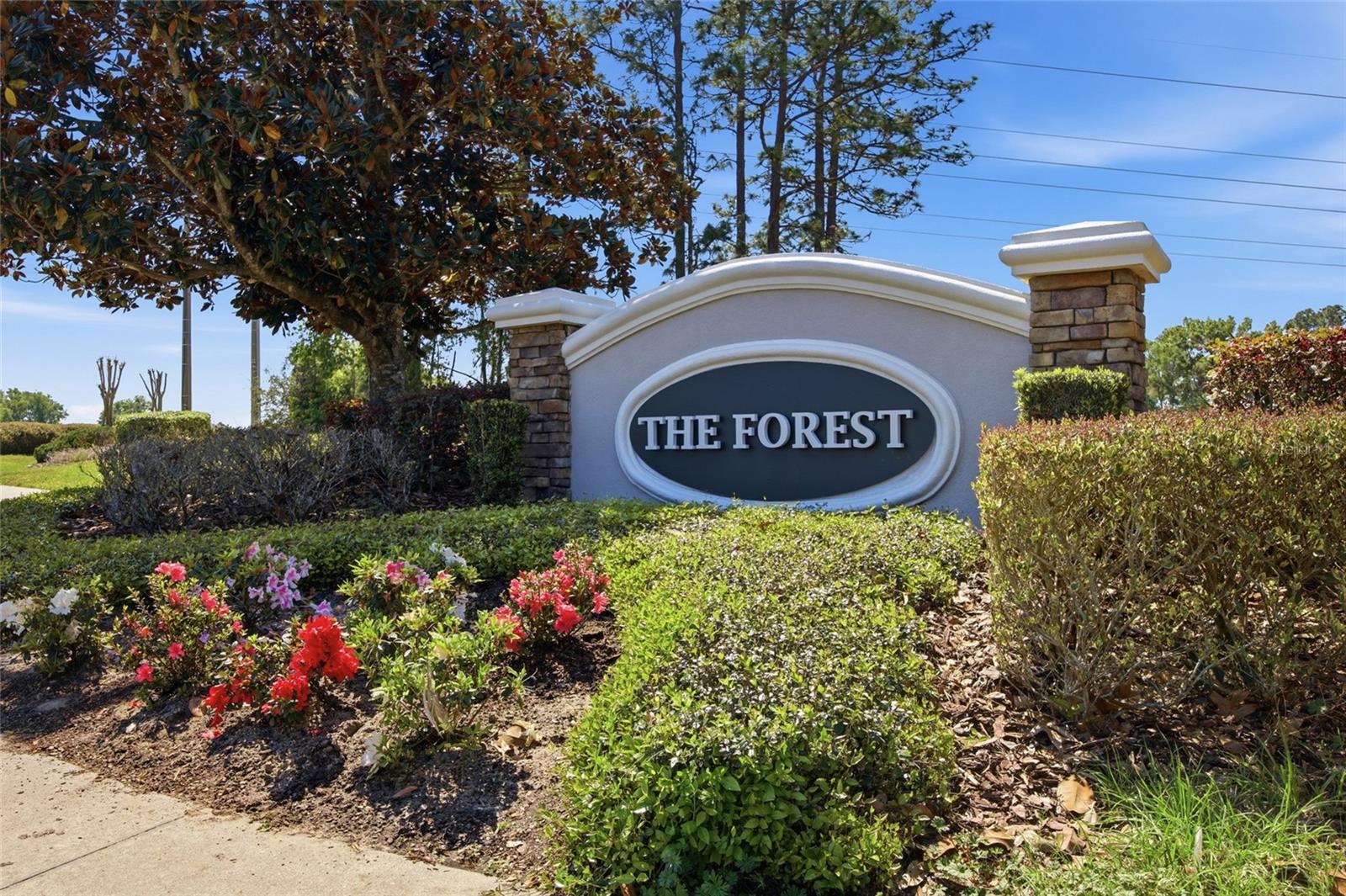 4517 SE 28TH ST, OCALA, FL — photo 43