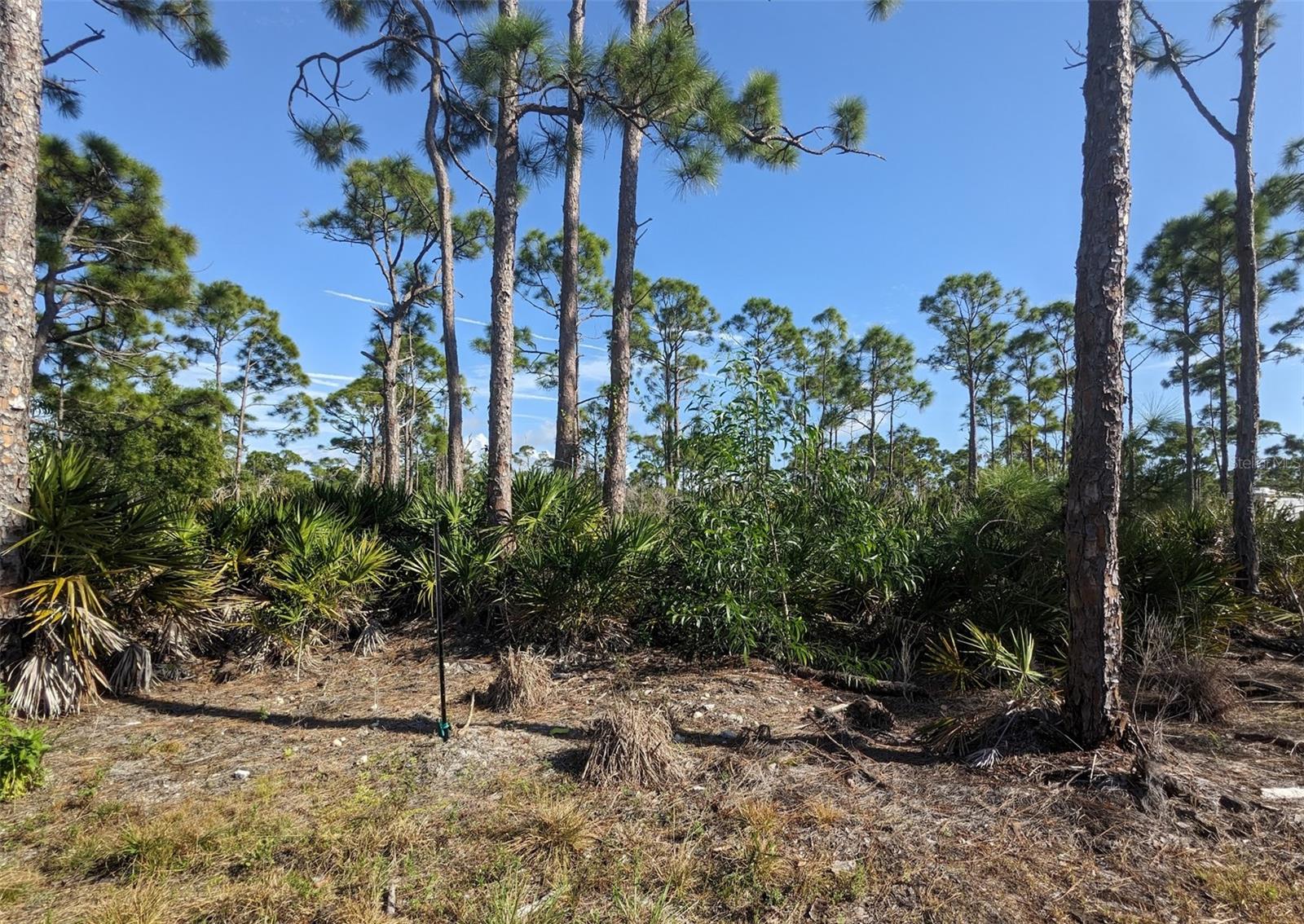 4159 SUNSHINE BLVD, ST JAMES CITY, FL — photo 3