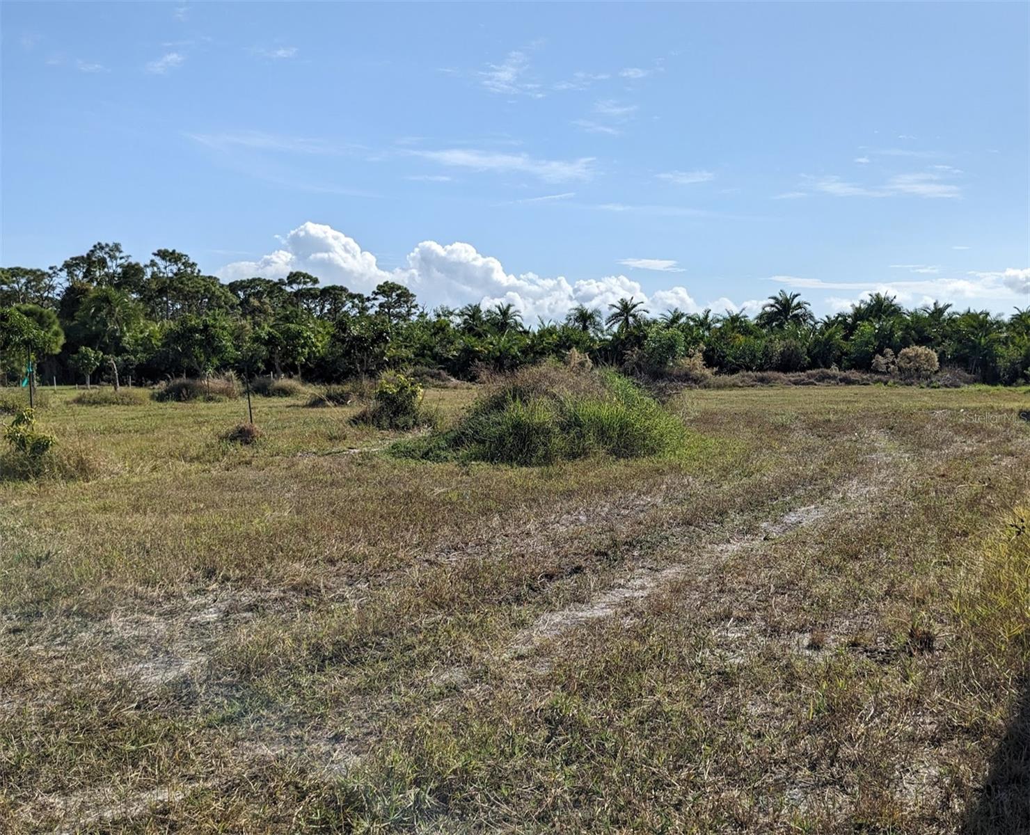 4159 SUNSHINE BLVD, ST JAMES CITY, FL — photo 4