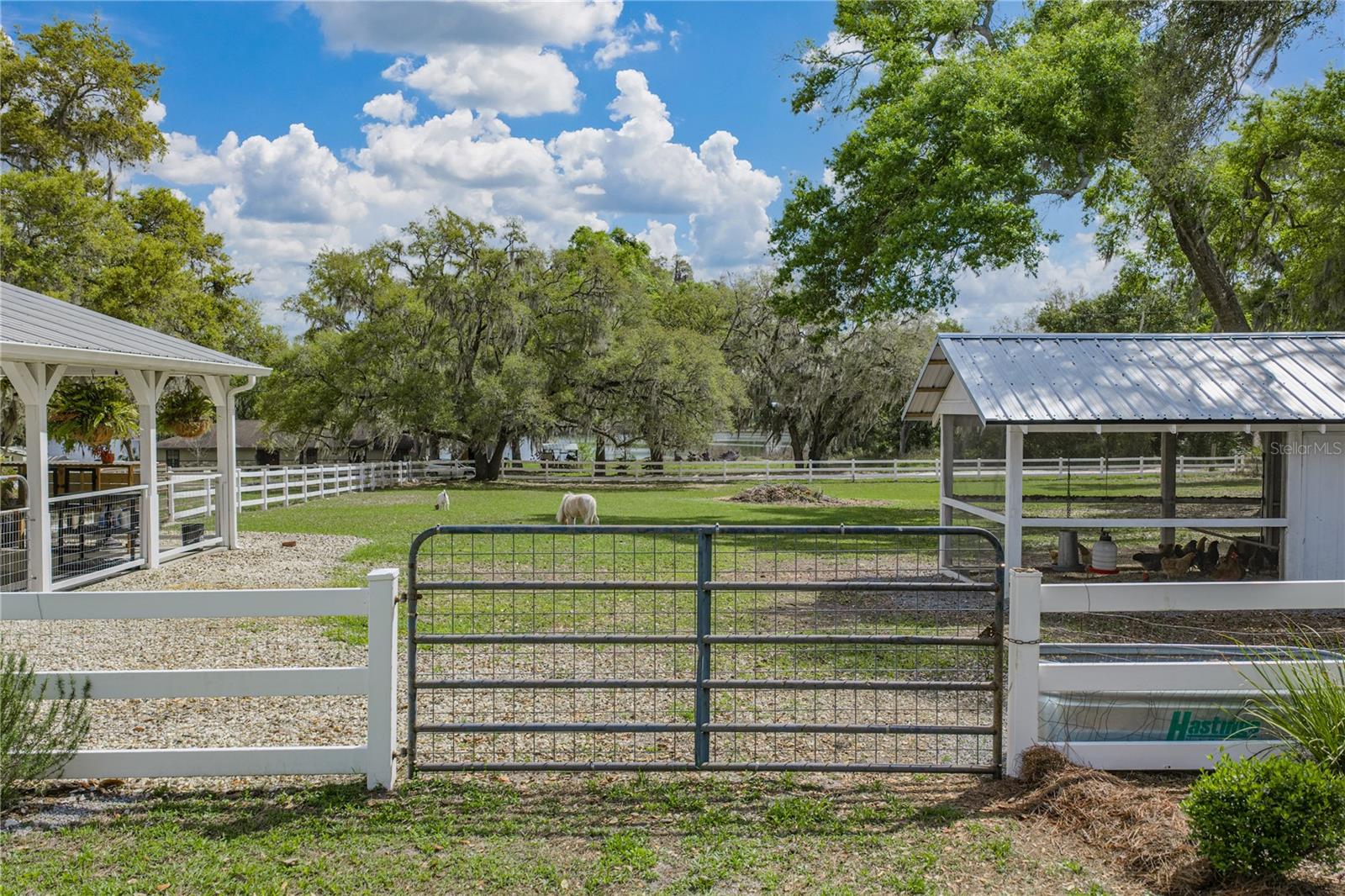 34428 MISSION VALLEY DR, DADE CITY, FL — photo 87