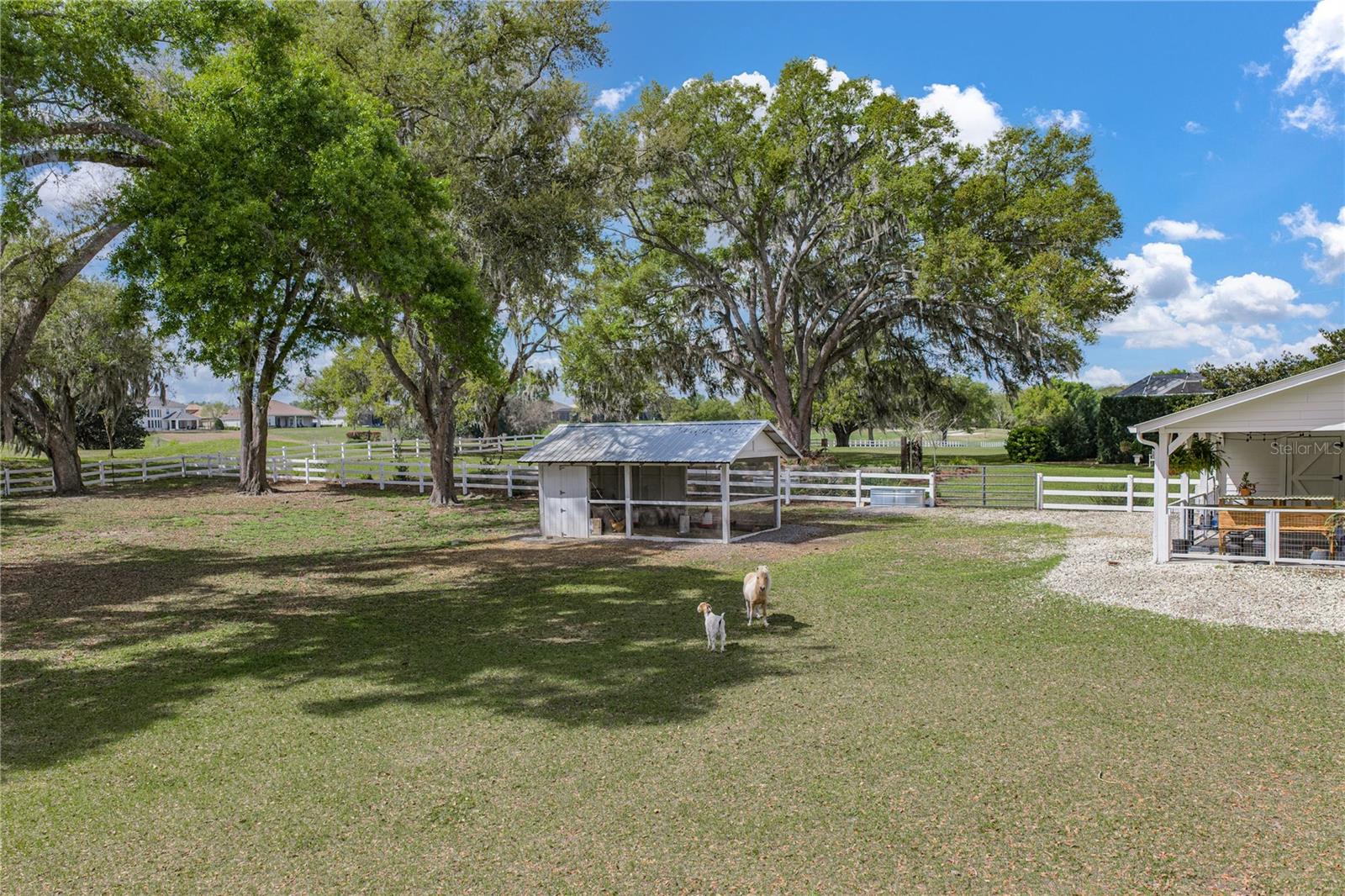 34428 MISSION VALLEY DR, DADE CITY, FL — photo 90