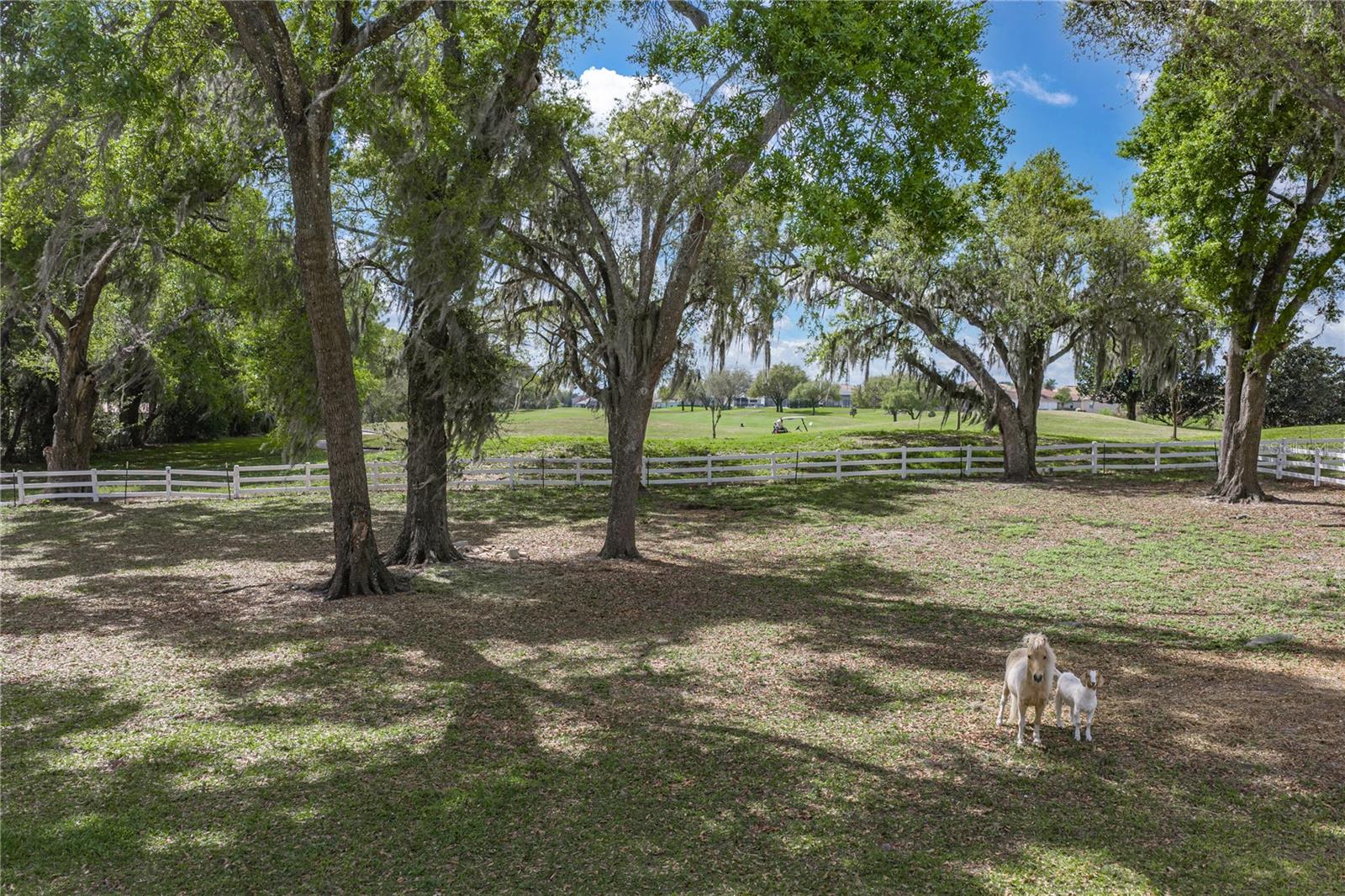 34428 MISSION VALLEY DR, DADE CITY, FL — photo 91