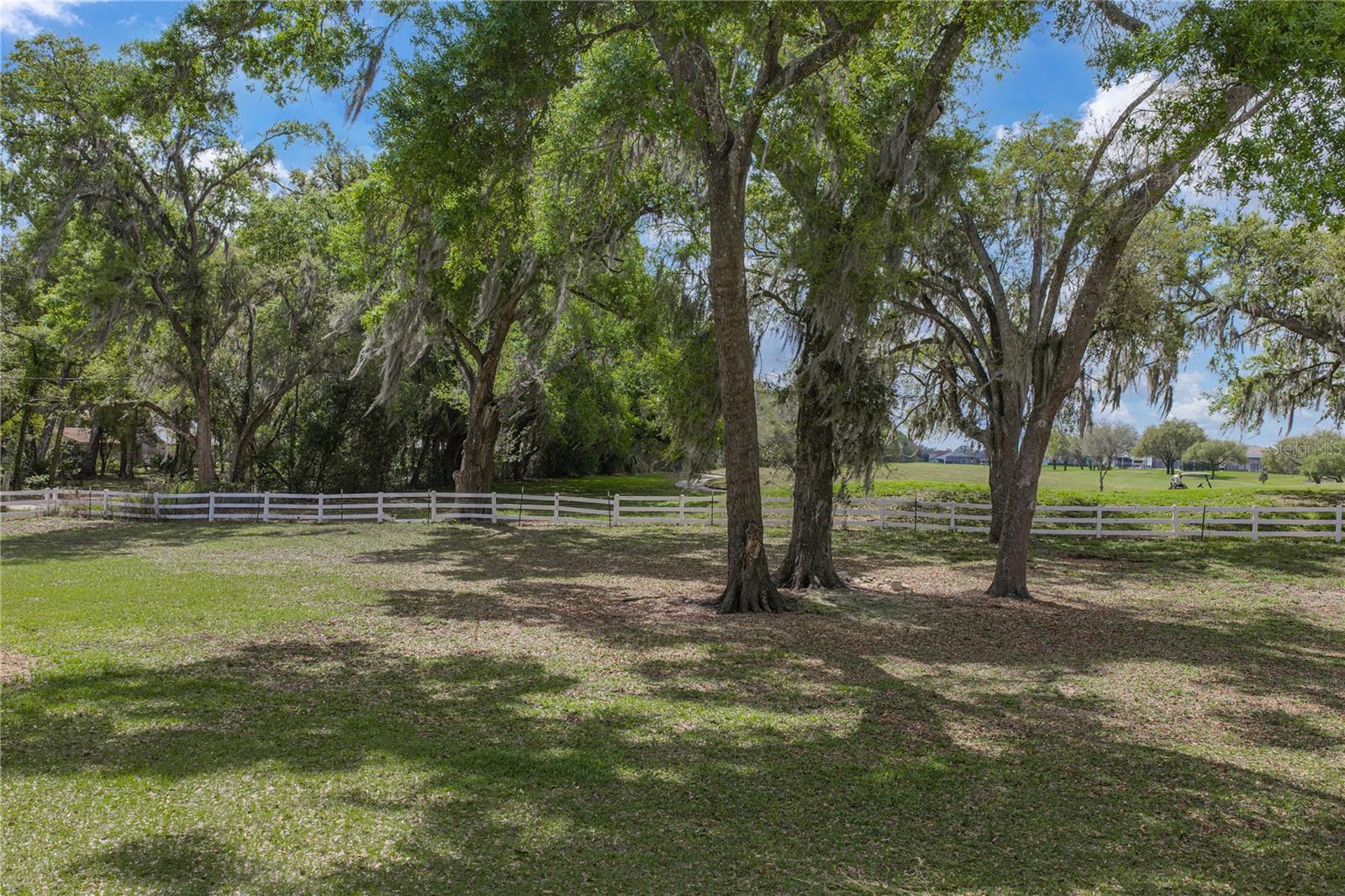 34428 MISSION VALLEY DR, DADE CITY, FL — photo 92