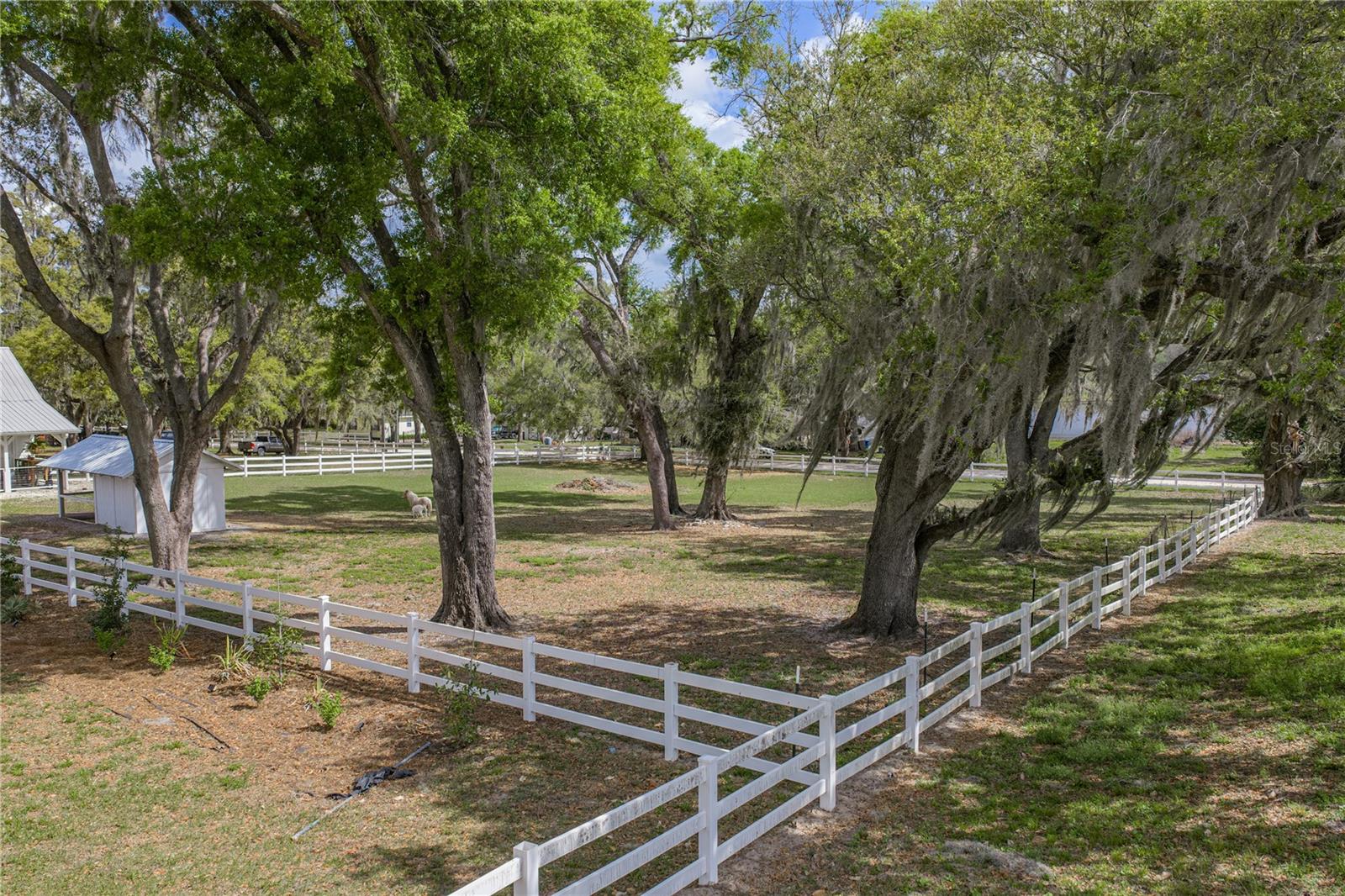 34428 MISSION VALLEY DR, DADE CITY, FL — photo 94