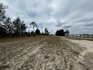 1826 NE 37TH ST, CAPE CORAL, FL — photo 2