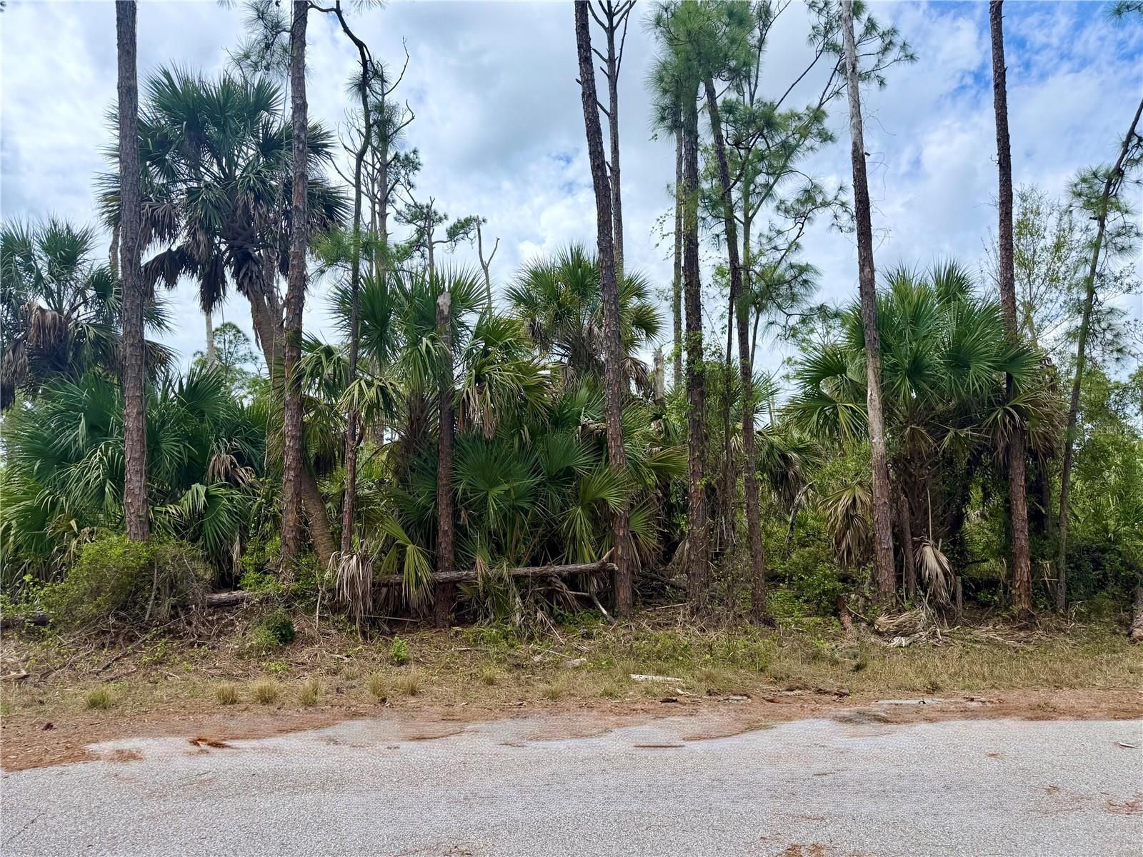 APRICOLA RD, NORTH PORT, FL — photo 2