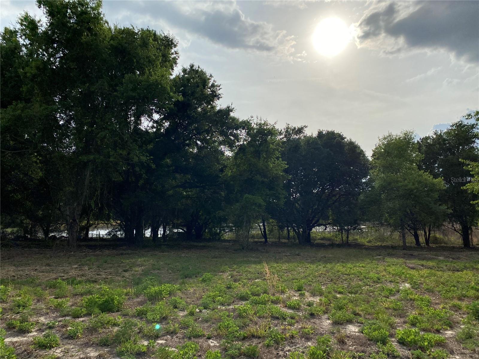 SOUTH O 'BRIEN RD, GROVELAND, FL — photo 3