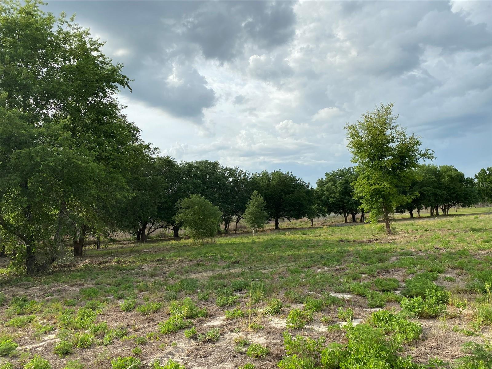 SOUTH O 'BRIEN RD, GROVELAND, FL — photo 5