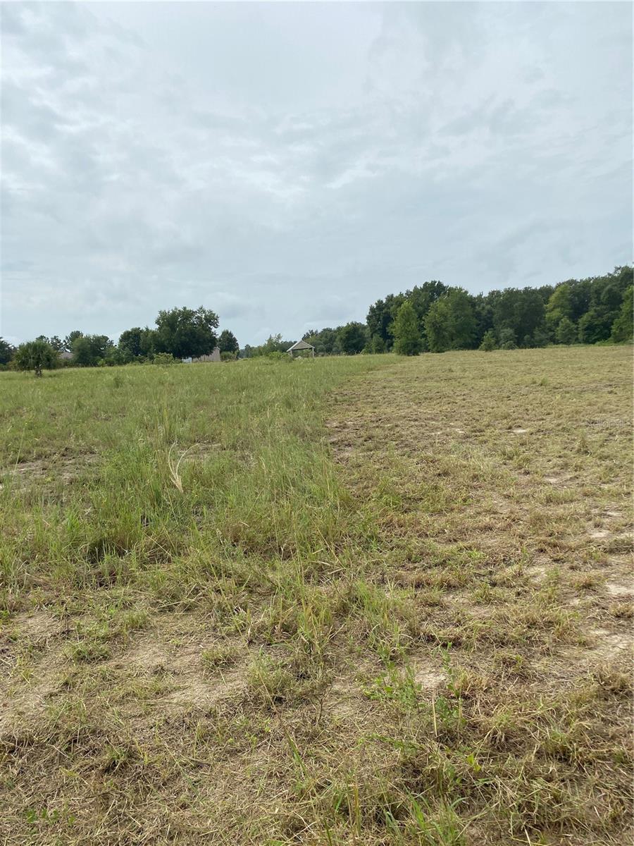 SOUTH O 'BRIEN RD, GROVELAND, FL — photo 9