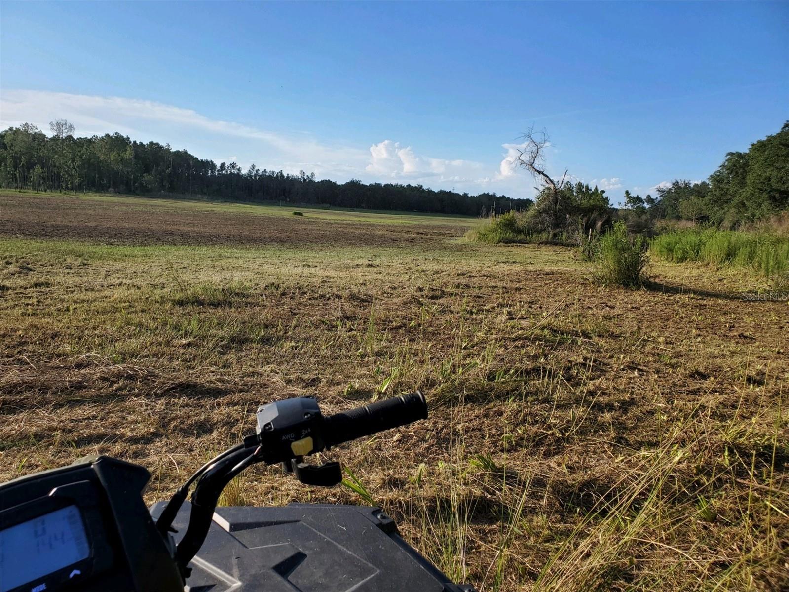 SOUTH O 'BRIEN RD, GROVELAND, FL — photo 11