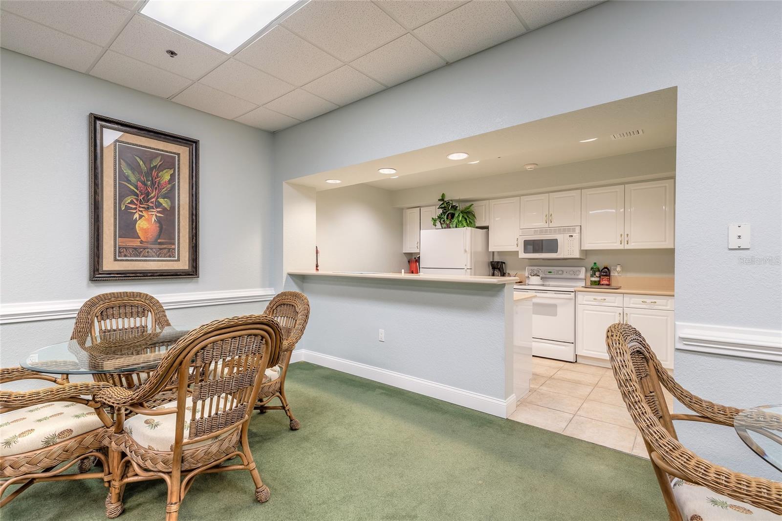 4650 LINKS VILLAGE DR #A401, PONCE INLET, FL — photo 37
