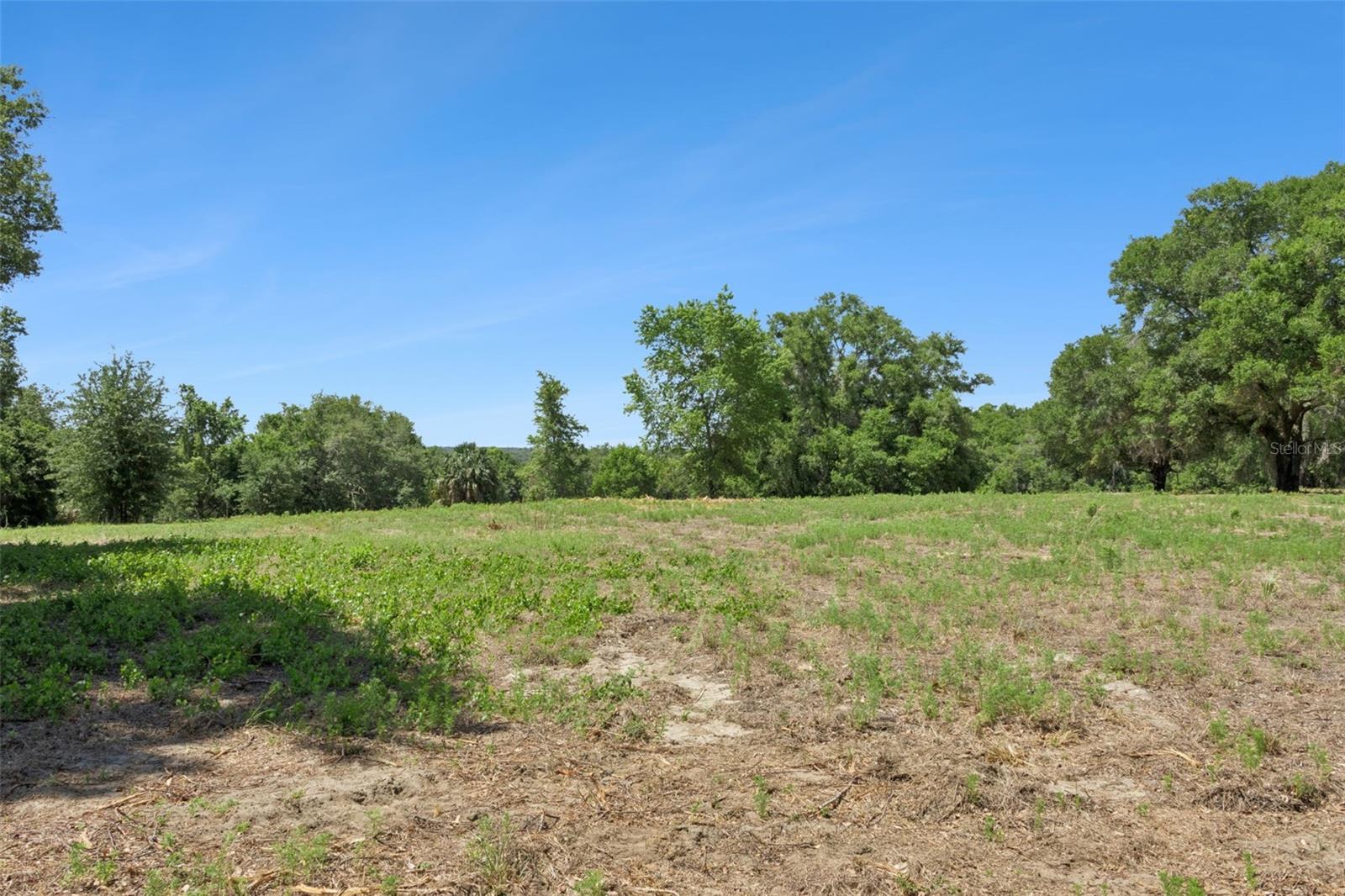 0000 BERTSVILLE ROAD & GRIFFIN VIEW DRIVE, LADY LAKE, FL — photo 11