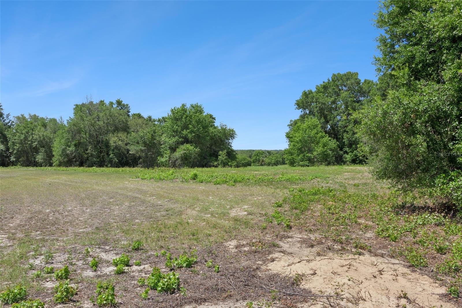 0000 BERTSVILLE ROAD & GRIFFIN VIEW DRIVE, LADY LAKE, FL — photo 16