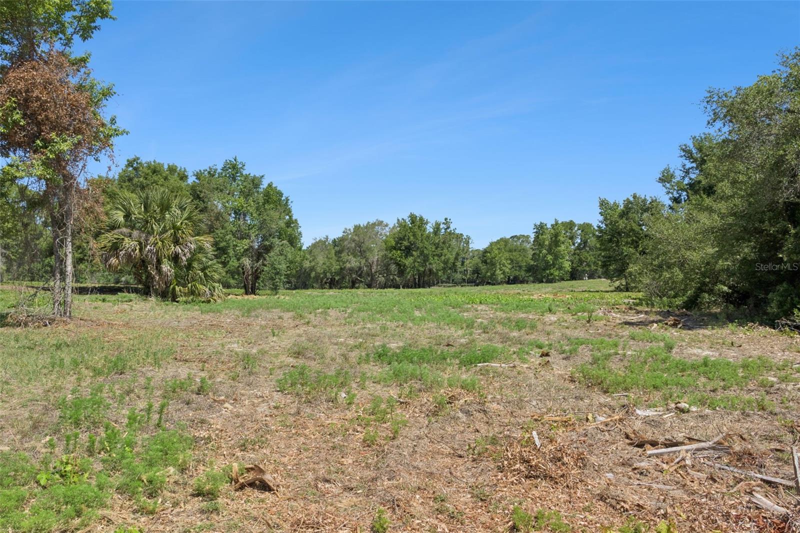 0000 BERTSVILLE ROAD & GRIFFIN VIEW DRIVE, LADY LAKE, FL — photo 21
