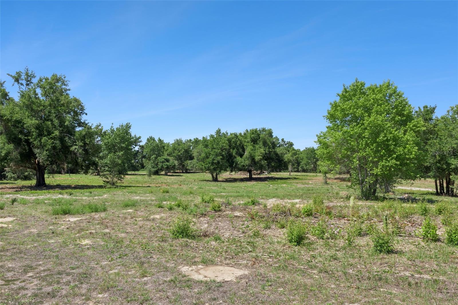 0000 BERTSVILLE ROAD & GRIFFIN VIEW DRIVE, LADY LAKE, FL — photo 24