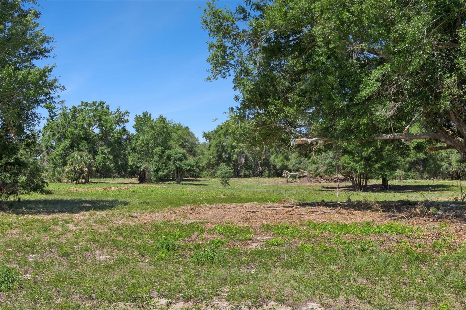 0000 BERTSVILLE ROAD & GRIFFIN VIEW DRIVE, LADY LAKE, FL — photo 26