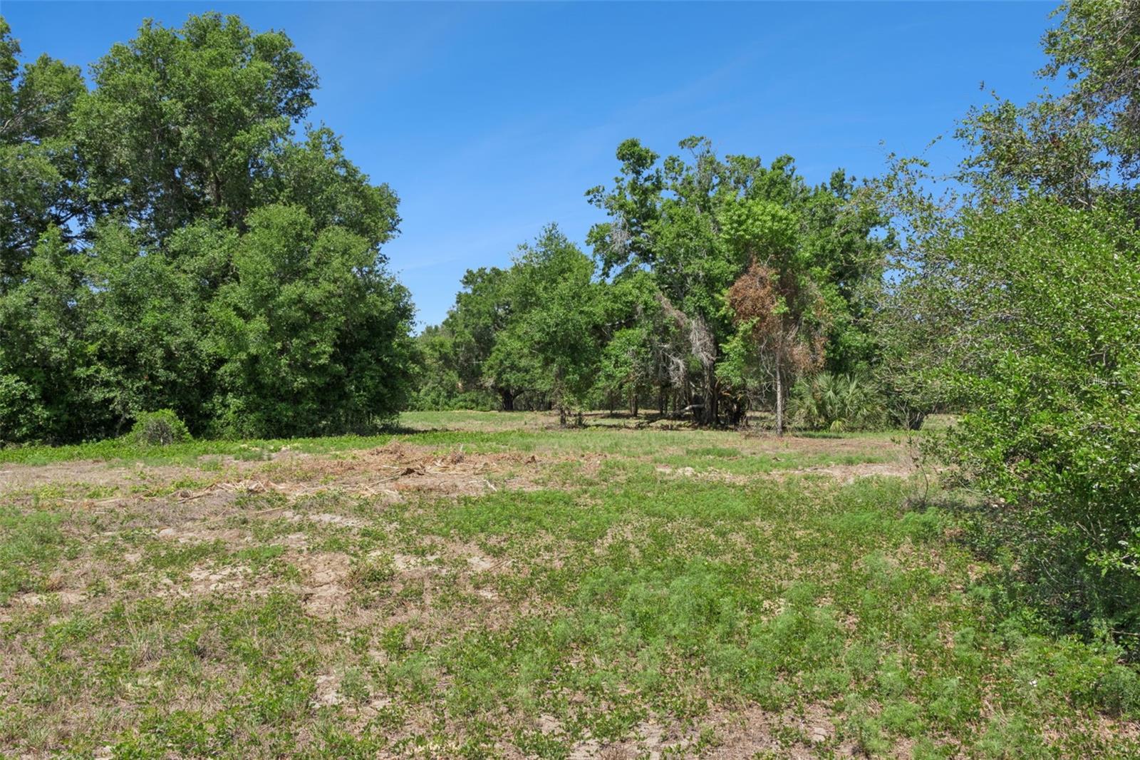 0000 BERTSVILLE ROAD & GRIFFIN VIEW DRIVE, LADY LAKE, FL — photo 27