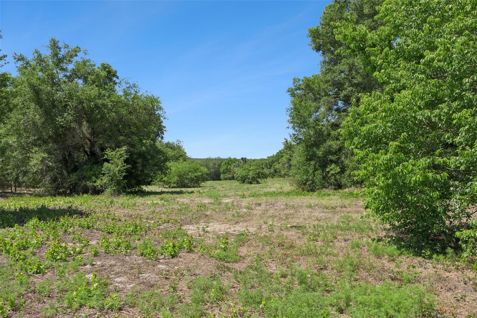 0000 BERTSVILLE ROAD & GRIFFIN VIEW DRIVE, LADY LAKE, FL — photo 29