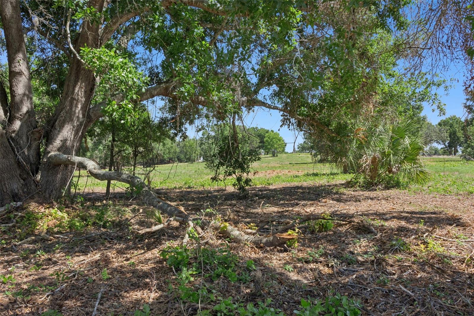0000 BERTSVILLE ROAD & GRIFFIN VIEW DRIVE, LADY LAKE, FL — photo 35