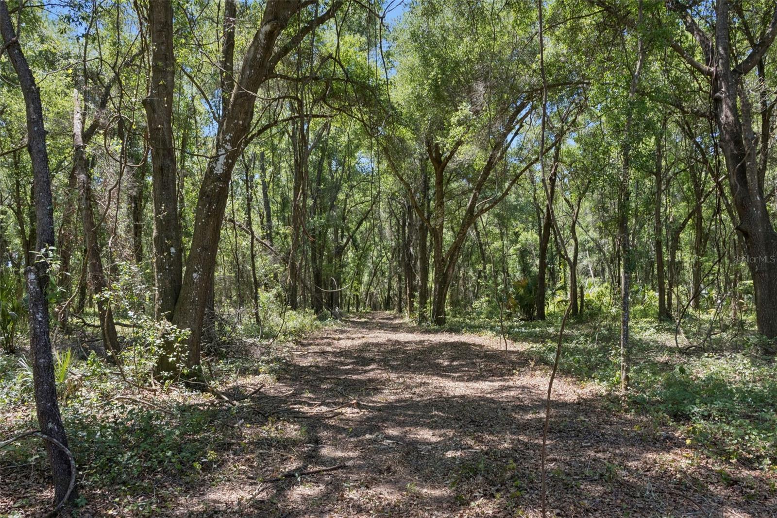 0000 BERTSVILLE ROAD & GRIFFIN VIEW DRIVE, LADY LAKE, FL — photo 38