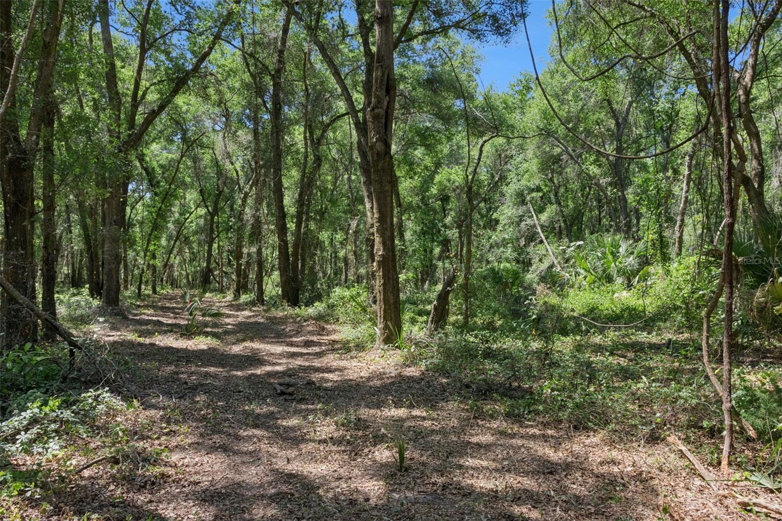 0000 BERTSVILLE ROAD & GRIFFIN VIEW DRIVE, LADY LAKE, FL — photo 41