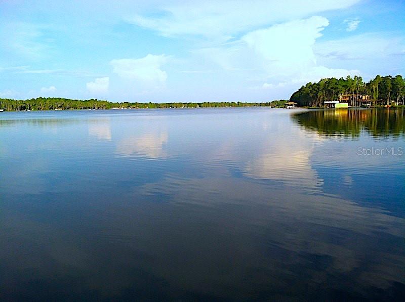 18129 CRAWLEY RD, ODESSA, FL