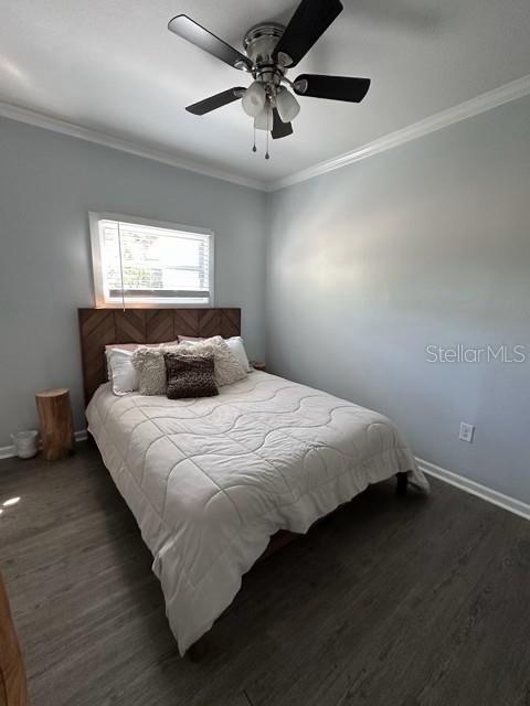7211 N TALIAFERRO AVE, TAMPA, FL — photo 20