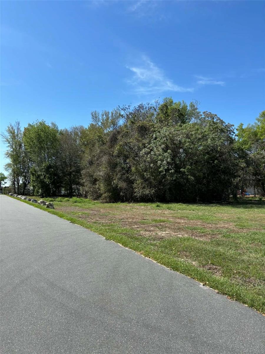 15511 STATE ROAD 19, GROVELAND, FL — photo 14