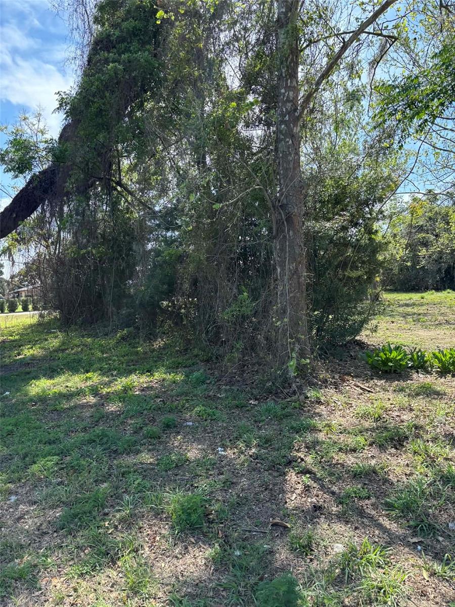 0000 STATE ROAD 19, GROVELAND, FL — photo 5