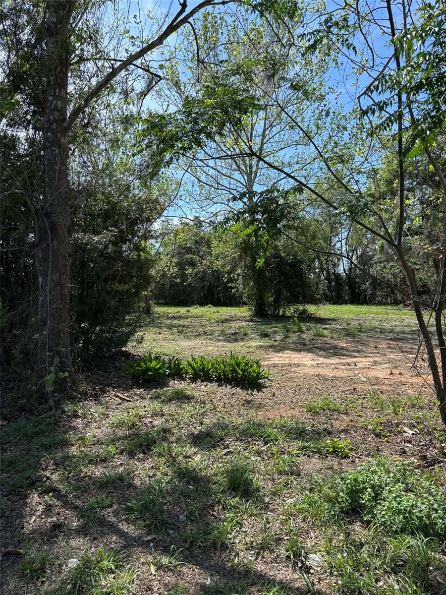 0000 STATE ROAD 19, GROVELAND, FL — photo 7