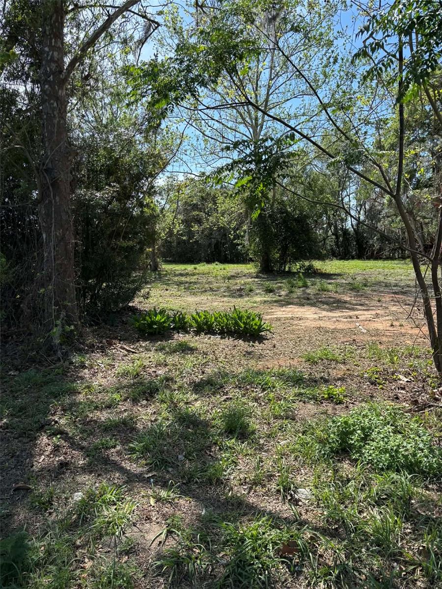 0000 STATE ROAD 19, GROVELAND, FL — photo 12