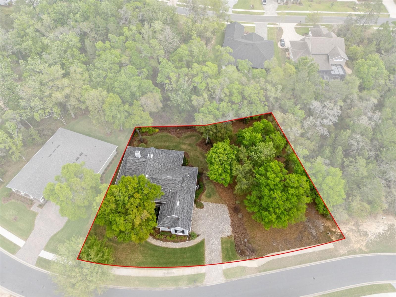 6096 DUSK ROSE LN, BROOKSVILLE, FL — photo 6