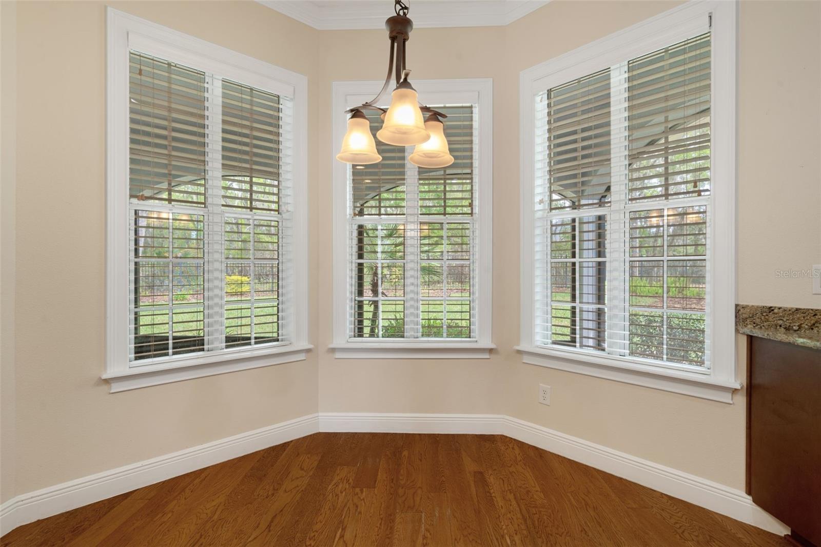 6096 DUSK ROSE LN, BROOKSVILLE, FL — photo 36