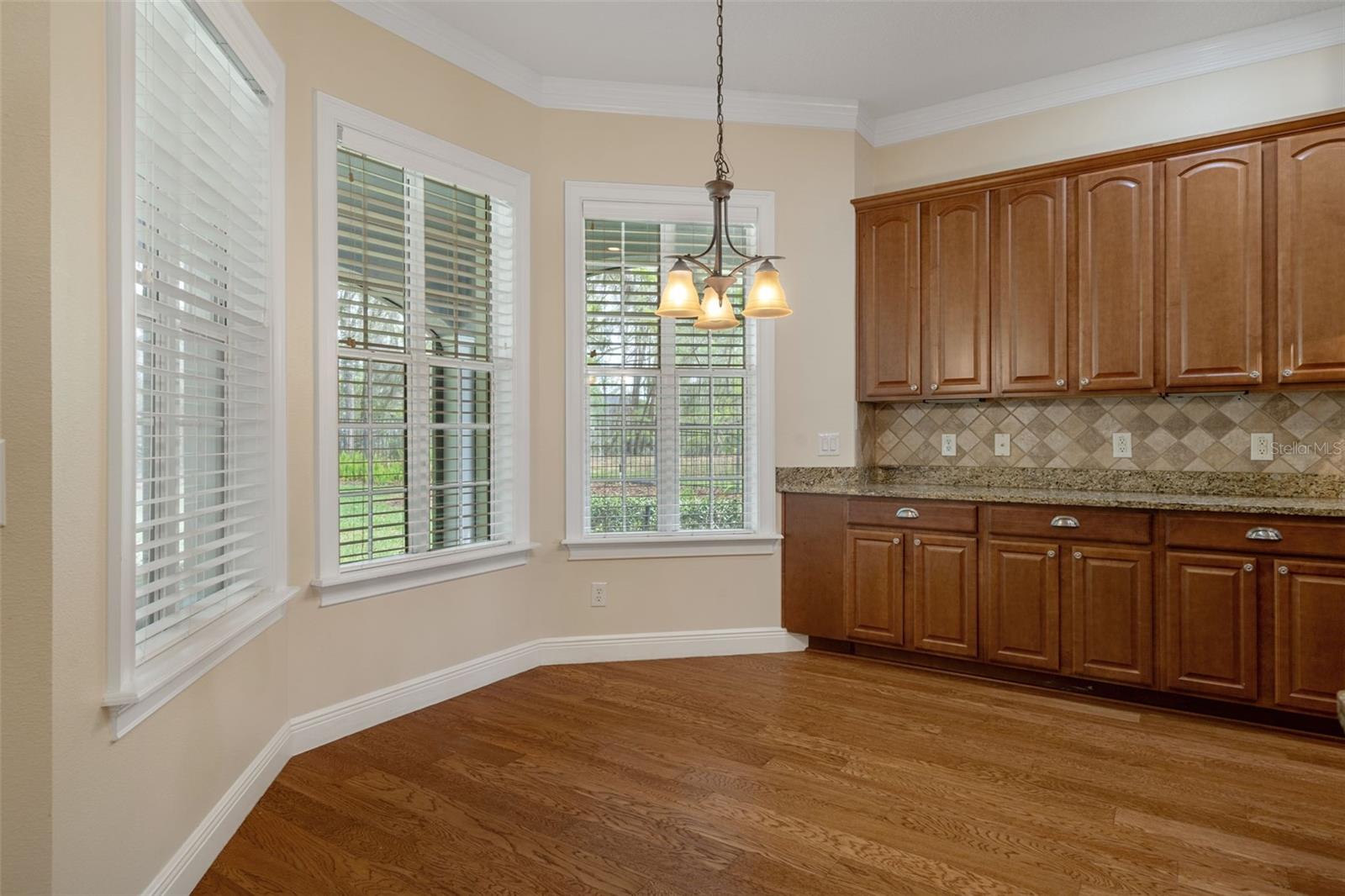 6096 DUSK ROSE LN, BROOKSVILLE, FL — photo 37