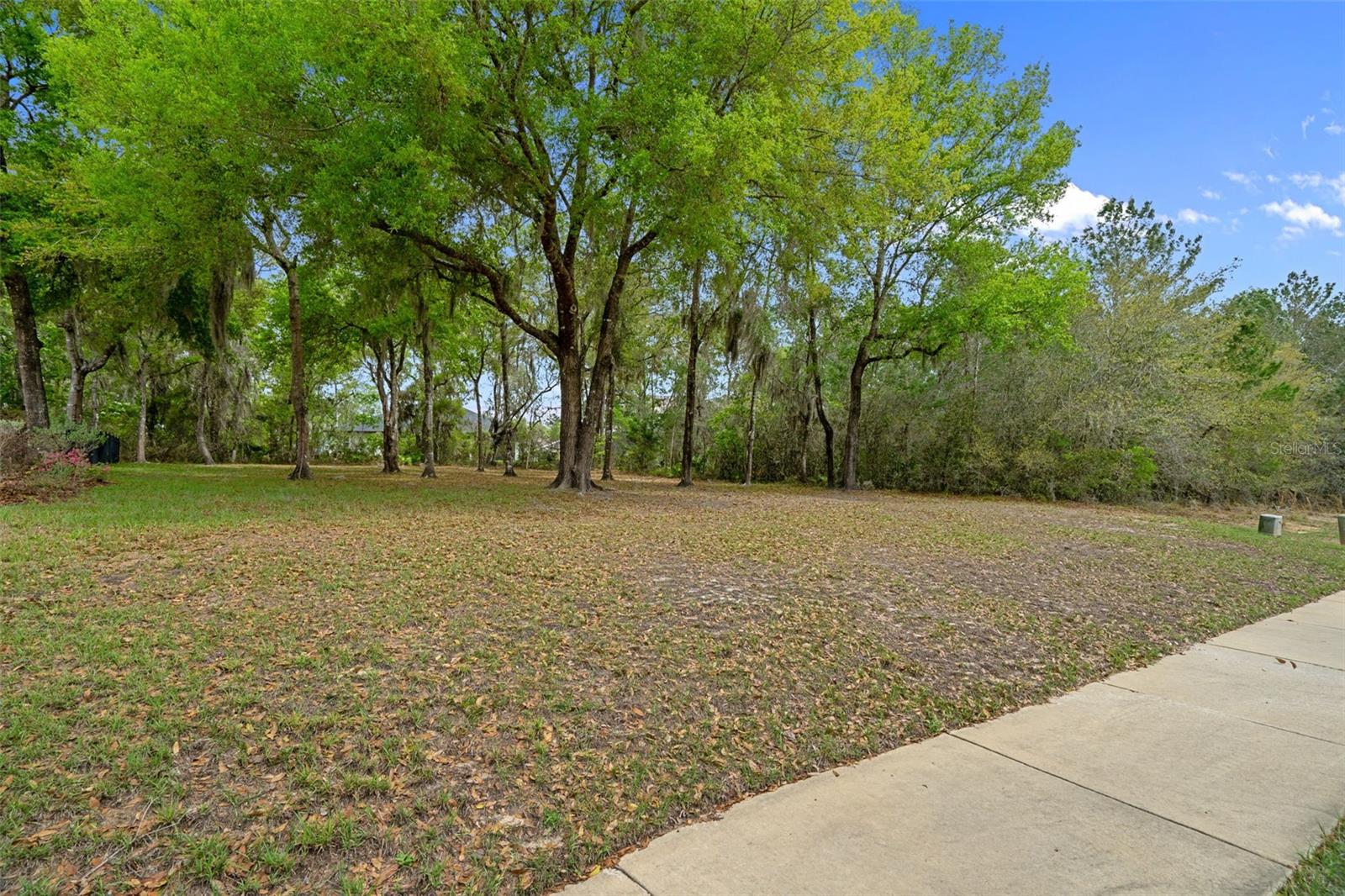 6096 DUSK ROSE LN, BROOKSVILLE, FL — photo 68
