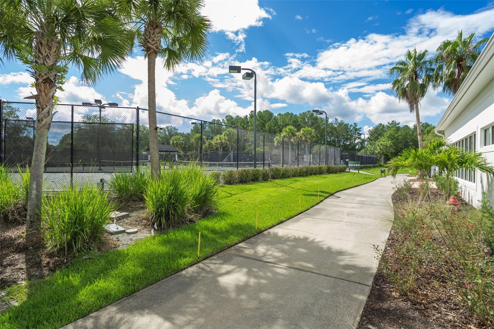 6096 DUSK ROSE LN, BROOKSVILLE, FL — photo 89