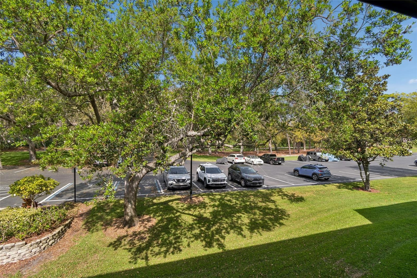 36750 US HIGHWAY 19 #21214, PALM HARBOR, FL — photo 25