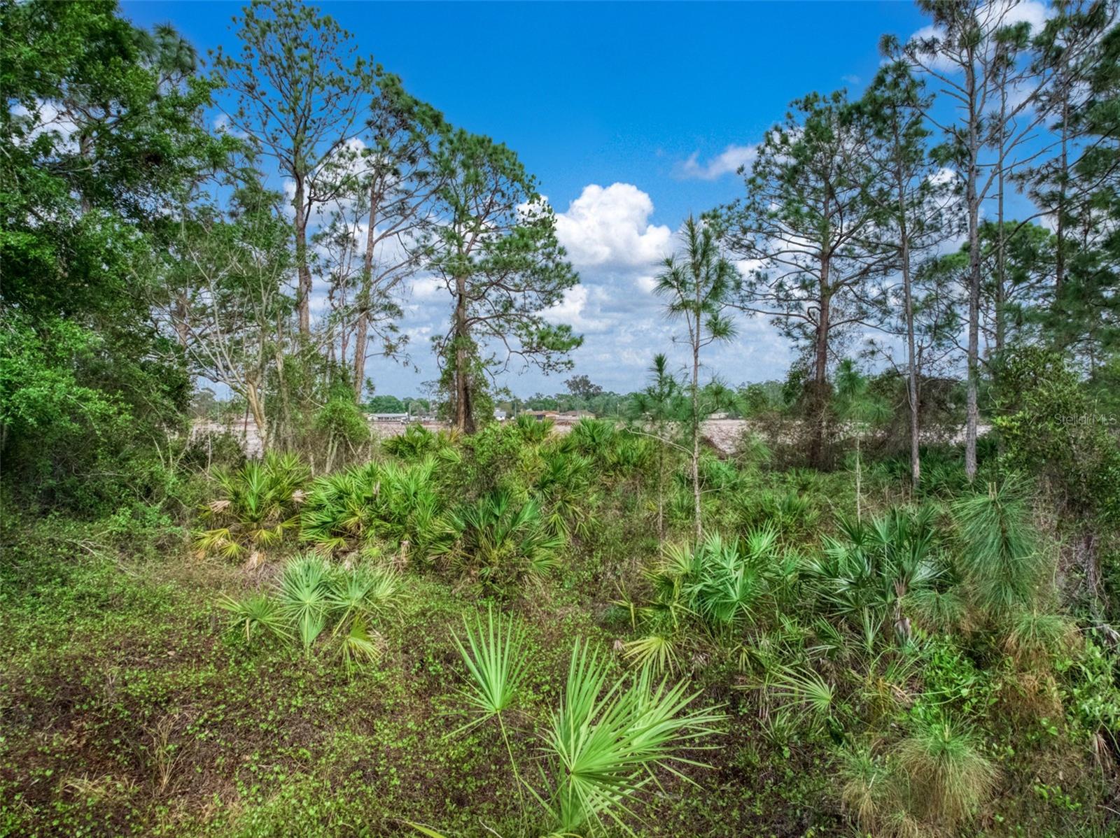 4814 LAKEWOOD RD, SEBRING, FL — photo 12