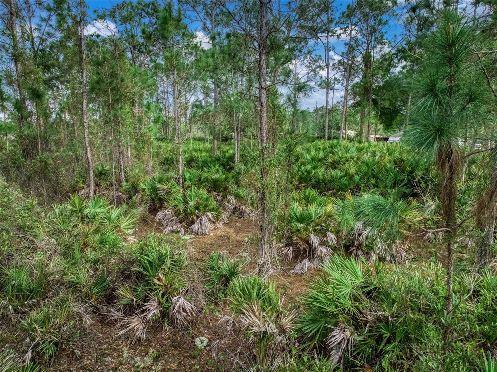 4814 LAKEWOOD RD, SEBRING, FL — photo 16
